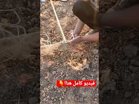 افضل طريقة لنصب شبك الصيد