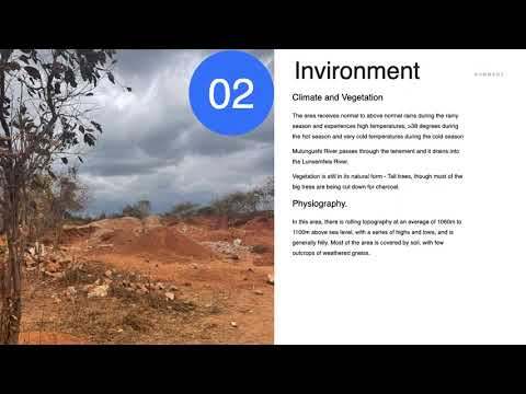 Mining & Investment Executive summary
