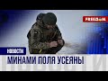 💥 Россияне не жалеют мин! Саперы ВСУ рассказали о работе на Донбассе