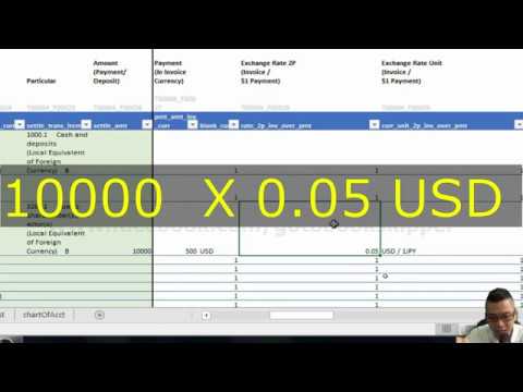 Ep 30 | Foreign Currency Transaction Part 4 |Payment Conversion | Forex 004
