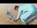 Mali Ka Shikar #catfishhuntingvideo