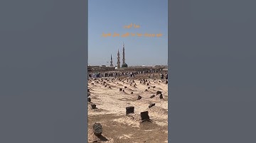 #تلاوة_قرآن #القرآن_الكريم #qurankareem #خشوع #تلاوة_مؤثرة #تلاوة_خاشعة #qurandaily #quran