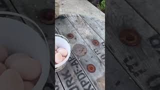 #деревня