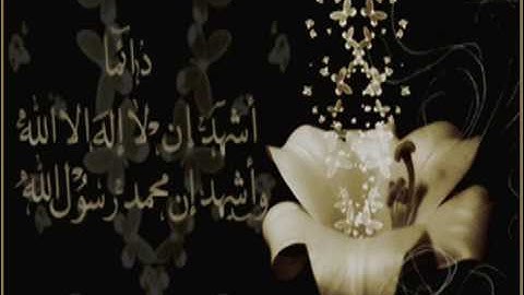 أجمل صوت سمعته في حباتي (سورة القيامة)