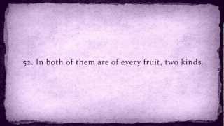 AMAZING! | Surah Rahman | Maher al Mu'aqily