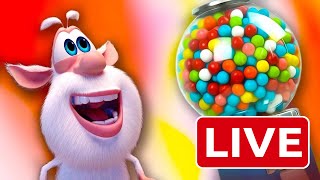 Download Lagu 🔴 Booba LIVE | Cartoons for Kids | Early Seasons Compilation MP3 Download Lagu 🔴 Booba LIVE | Cartoons for Kids | Early Seasons Compilation MP3