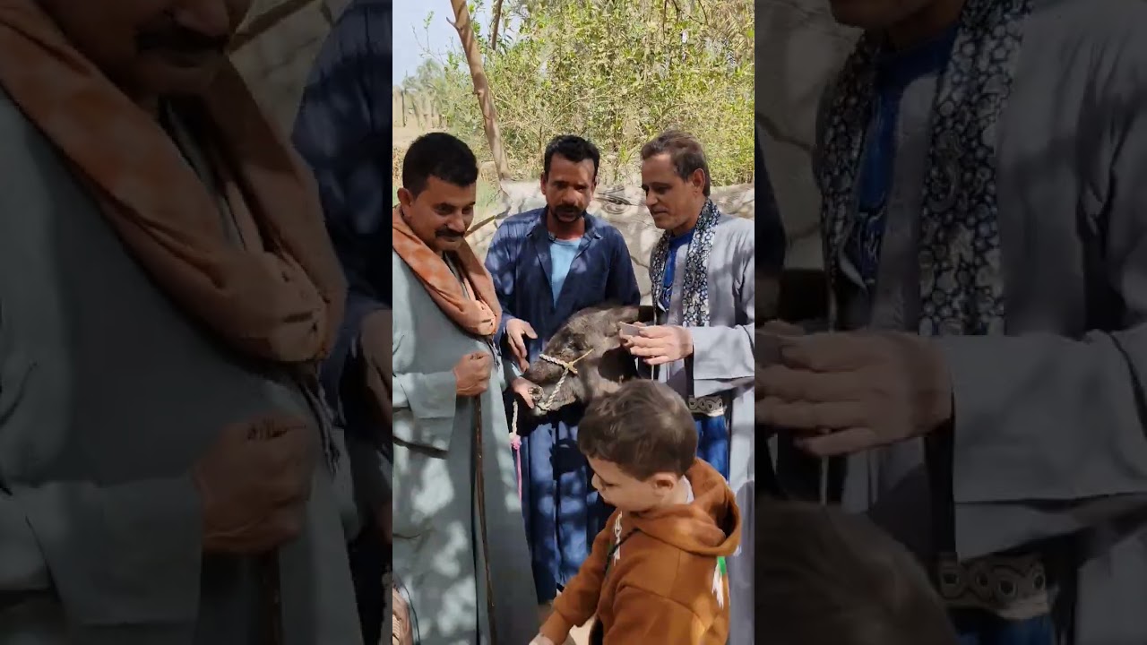 جتلكم فكرة جديدة يارب تعجبكم متنسوش الرد على الفيديو في التعليقات 