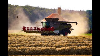 Jahresrückblick 2019 -Hof Perlitz