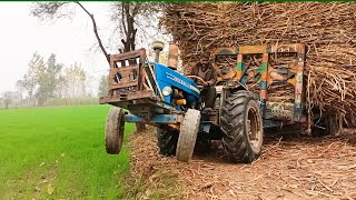 Tractor Ford 4610 pulled a trailer full of sugarcane with difficulty 🚜🚜💪💪💪