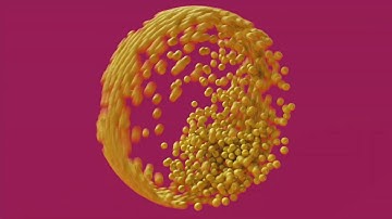 BSN Gala: 3D Animation "Tennis"