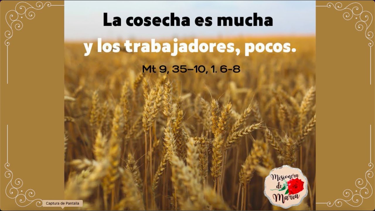 reflexi-n-al-evangelio-seg-n-san-mateo-9-35-10-1-6-8-sd