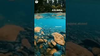 Allah| Allah| Allah Hasbi Rabbi Jalallah