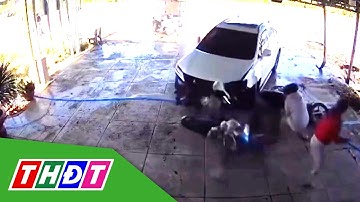 Bắt anh trai cố tình lái ô tô đâm em gái tử vong | THDT