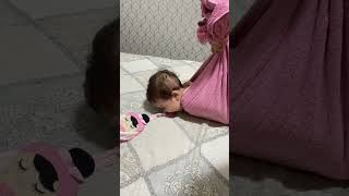 Download Lagu Daddy 😂❤️ #maedeprimeiraviagem #mundocorderosa #bebestiktoks #bebesfofos #videoviralitiktok MP3 Download Lagu Daddy 😂❤️ #maedeprimeiraviagem #mundocorderosa #bebestiktoks #bebesfofos #videoviralitiktok MP3