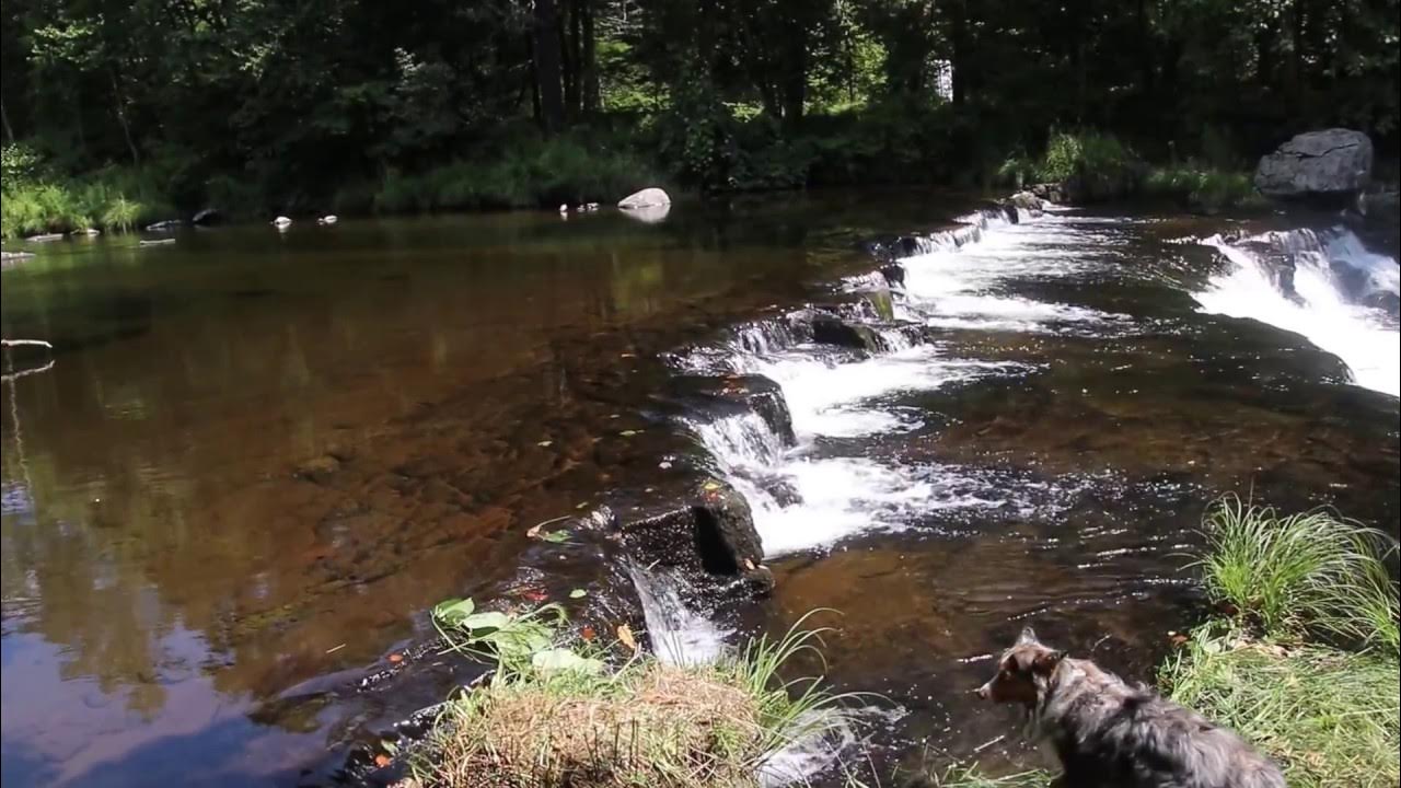 Brodhead Creek falls at ParadisePrice Preserve, Pa. YouTube