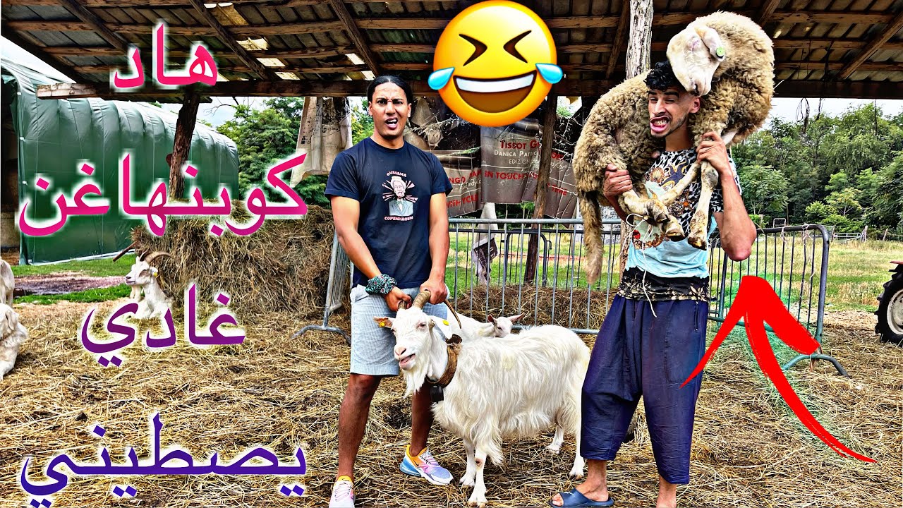 وفيت بالوعد ديالي اشريت لكوبنهاكن حولي 😱😂- Prima Pasqua 🐑 di Copenhagen in Italia 🇮🇹