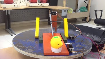 Angry Birds REAL Slingshot
