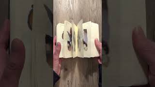 Janice Mcdonald 2022 Collage Diary Quick Flip-Through