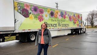 Proven Winners Annual Delivery - Trimming - Planting