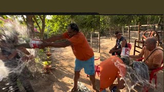 Chôla Deu Um Banho De Cimento Em Biro