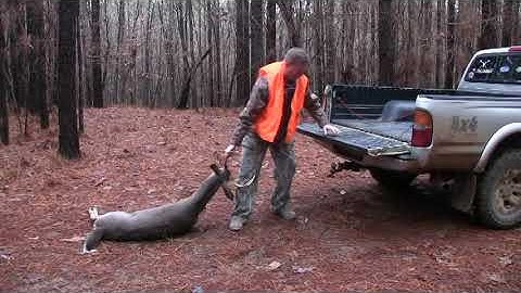 Easy Way To Load Deer Into Your Truck