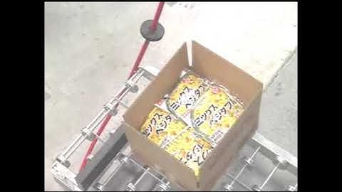 20161 BluePrint Automation (BPA) RGP Case Packer