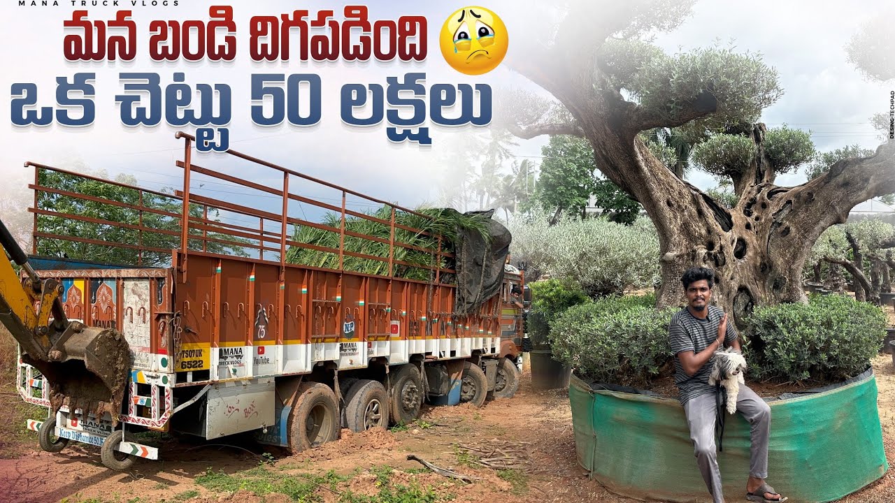 మన బండి దిగపడింది 😢 ఒక చెట్టు 50 లక్షలు 😱 going to madhyapradesh