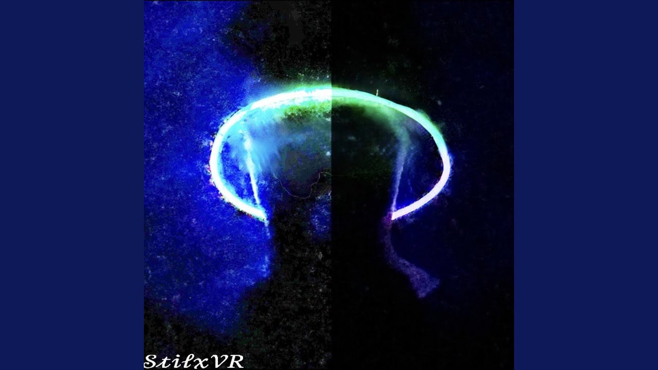 YouTube에서 Never 보기 YouTube에서 Never 보기