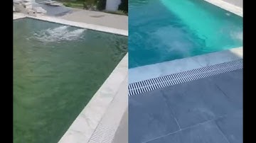 Xử lý nước bể bơi bị rêu tảo