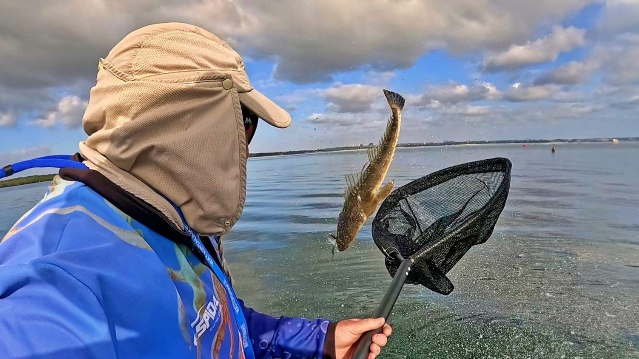 Плоскоголовый повсюду! Мягкий пластиковый хаос