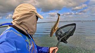 Flathead Everywhere! Soft Plastic Chaos screenshot 3