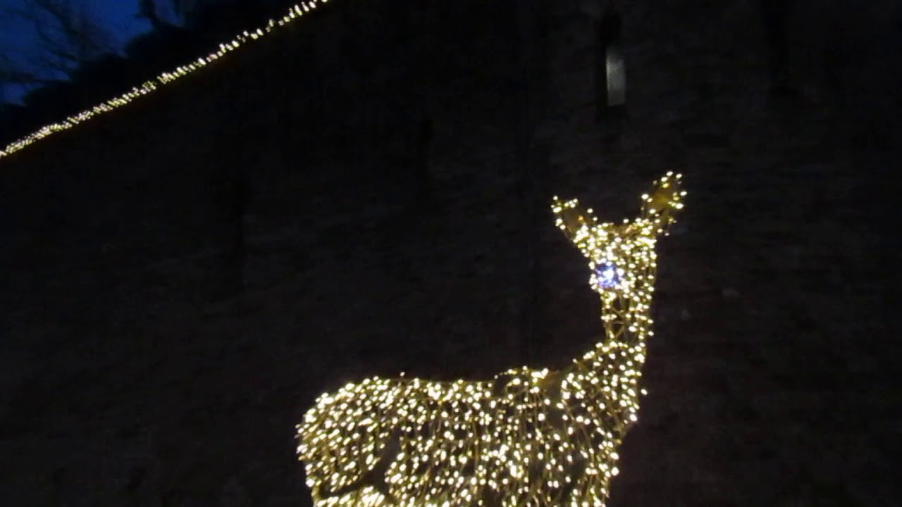 Cardiff Castle Christmas Lights 2019 YouTube