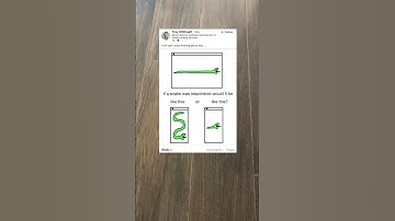 responsive snek design