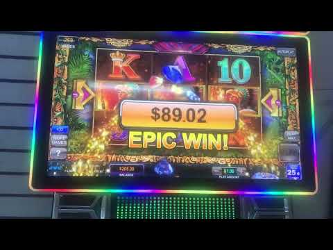 DiceyCraps hits it big💰#casino #trending #casinogame #slot #jackpot #grand #dragonlink #slots
