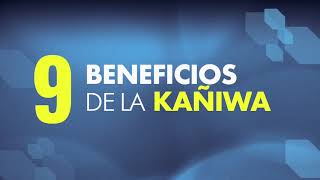 9 Beneficios de la Kañiwa (Cañigua o Canihua) para la SALUD