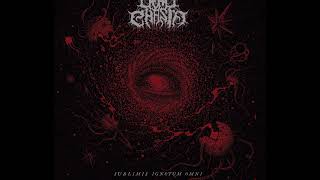 DEAD CHASM - In Abhorrent Obscurity (OFFICIAL VIDEO/ FDA Records) Death Metal
