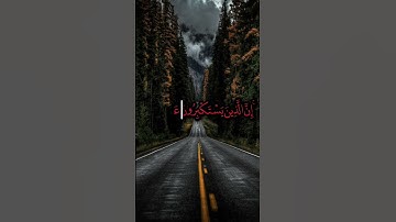 🤲🥀🤍☝ #تلاوة_خاشعة #اكسبلور #المصحف #لايك