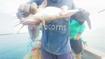 Một Ngày Đi Kéo Lú – Thu Hoạch Cá Tươi & Ghẹ Xanh Ngoài Biển Lớn