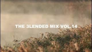 AFROHOUSE MIX 2025 | THE 3LENDED MIX | VOL 14 | MIXED BY NEWTON BLACK