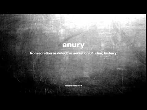 What does anury mean