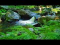 Beautiful Relaxing Music with Water Sounds - Peaceful Ambience for Spa, Yoga and Relaxation