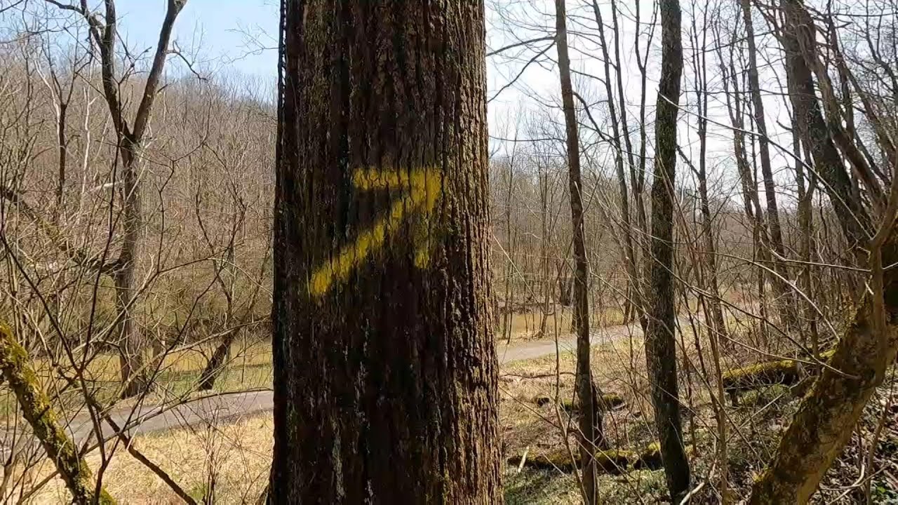 Trail Marking, Trail Marking and More Trail Marking YouTube