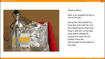 mySci Unit 11 Lesson 7 Summary