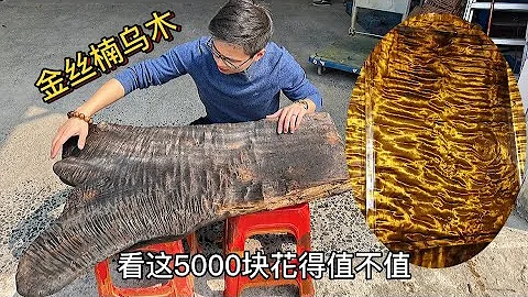 花5000多買了塊金絲楠烏木，鋸開一看眼花繚亂，算算能賺多少「老蔣根雕」 - 天天要聞