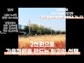 가을 억새축제처럼 정원꾸미기 하고싶다면 ”꽃그령“ 퍼플러브그라스를 추천해요 #노지월동 #정원조경 #정원꾸미기 #카페조경 #카페인테리어 #주택정원 #정원인테리어 꽃이 저렴한 농장
