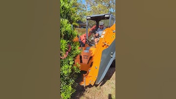 Optimal truncated tree spade 36.25