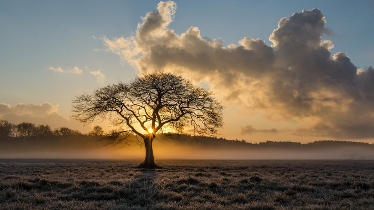 Musique de relaxation  YouTube