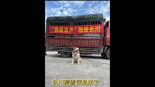 When one side is in trouble, eight sides come to help. Go, Yongchuan!