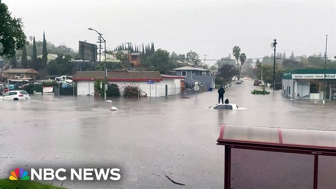 Watch Video Shows Driver Being Rescued From San Diego Floods