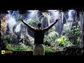 I Made it Storm In My Giant Rainforest Vivarium image